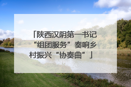 陕西汉阴第一书记“组团服务”奏响乡村振兴“协奏曲”