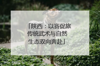 陕西：以赛促旅 传统武术与自然生态双向奔赴
