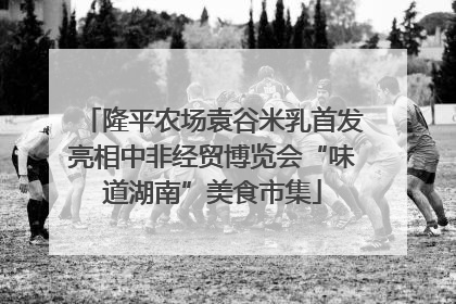 隆平农场袁谷米乳首发亮相中非经贸博览会“味道湖南”美食市集