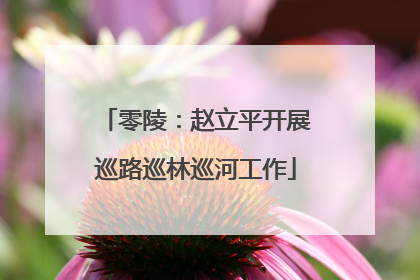 零陵：赵立平开展巡路巡林巡河工作