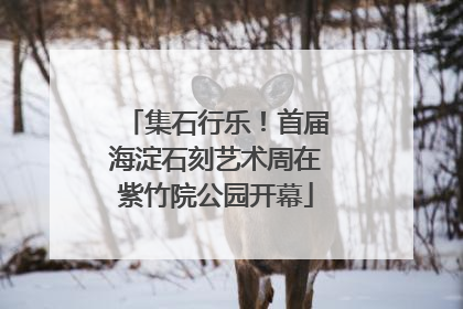 集石行乐！首届海淀石刻艺术周在紫竹院公园开幕