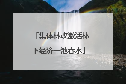 集体林改激活林下经济一池春水