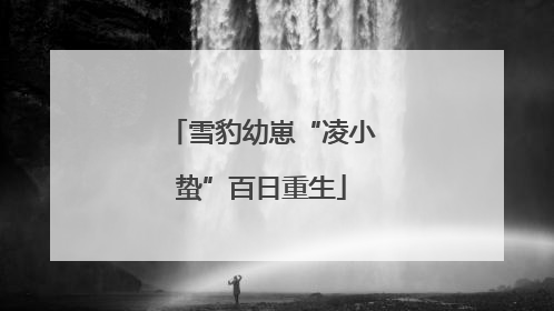 雪豹幼崽“凌小蛰”百日重生