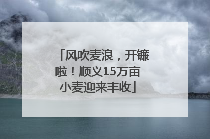 风吹麦浪，开镰啦！顺义15万亩小麦迎来丰收