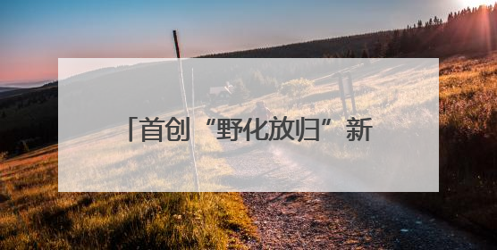 首创“野化放归”新模式……成都环境资源法庭如何推进依法筑牢长江上游生态屏障