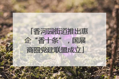 香河园街道推出惠企“香十条”，国展商圈党建联盟成立