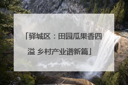 驿城区：田园瓜果香四溢 乡村产业谱新篇