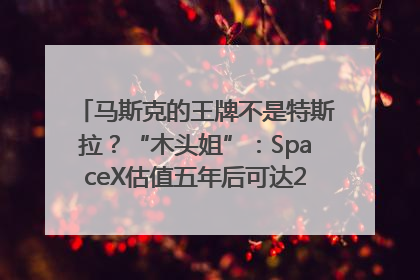 马斯克的王牌不是特斯拉？“木头姐”：SpaceX估值五年后可达2.5万亿美元！