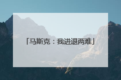 马斯克：我进退两难
