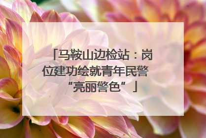 马鞍山边检站：岗位建功绘就青年民警“亮丽警色”