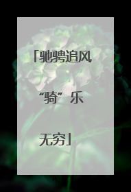 驰骋追风 “骑”乐无穷