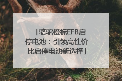 骆驼橙标EFB启停电池：引领高性价比启停电池新选择