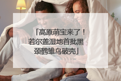 高原萌宝来了！若尔盖湿地首批黑颈鹤雏鸟破壳