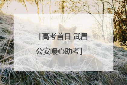 高考首日 武昌公安暖心助考