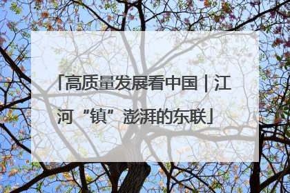 高质量发展看中国｜江河“镇”澎湃的东联