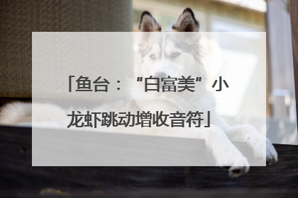 鱼台：“白富美”小龙虾跳动增收音符