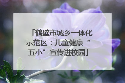 鹤壁市城乡一体化示范区：儿童健康“五小”宣传进校园
