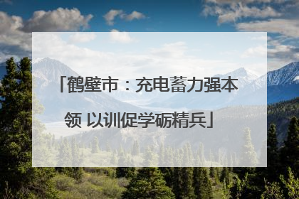 鹤壁市：充电蓄力强本领 以训促学砺精兵