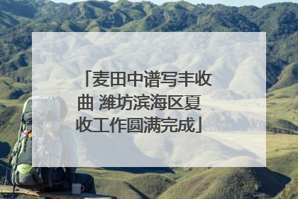 麦田中谱写丰收曲 潍坊滨海区夏收工作圆满完成