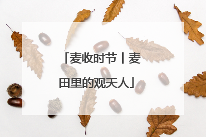 麦收时节丨麦田里的观天人