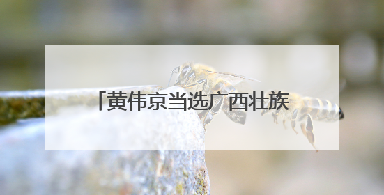 黄伟京当选广西壮族自治区总工会主席