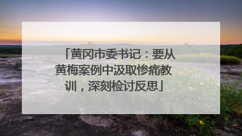 黄冈市委书记：要从黄梅案例中汲取惨痛教训，深刻检讨反思