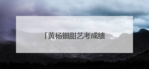 黄杨钿甜艺考成绩被质疑，母校回应