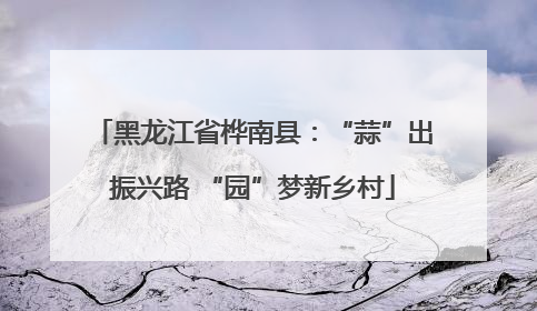 黑龙江省桦南县：“蒜”出振兴路 “园”梦新乡村