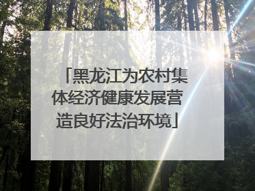 黑龙江为农村集体经济健康发展营造良好法治环境
