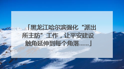 黑龙江哈尔滨强化“派出所主防”工作，让平安建设触角延伸到每个角落……