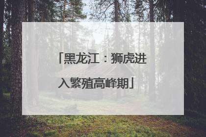 黑龙江：狮虎进入繁殖高峰期