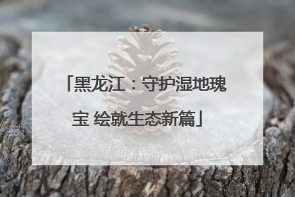 黑龙江：守护湿地瑰宝 绘就生态新篇