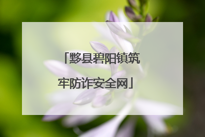 黟县碧阳镇筑牢防诈安全网