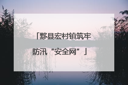 黟县宏村镇筑牢防汛“安全网”