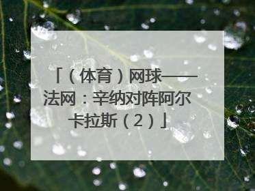 （体育）网球——法网：辛纳对阵阿尔卡拉斯（2）
