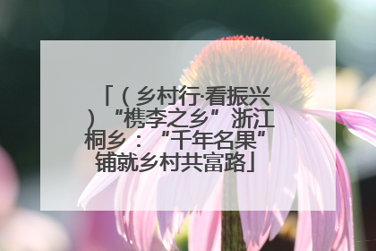 （乡村行·看振兴）“槜李之乡”浙江桐乡：“千年名果”铺就乡村共富路