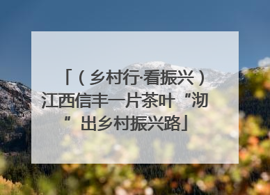 （乡村行·看振兴）江西信丰一片茶叶“沏”出乡村振兴路