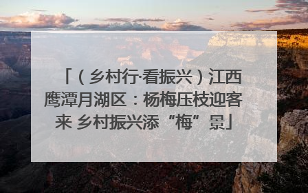 （乡村行·看振兴）江西鹰潭月湖区：杨梅压枝迎客来 乡村振兴添“梅”景