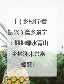 （乡村行·看振兴）畲乡景宁：拥抱绿水青山 乡村迎来共富蝶变