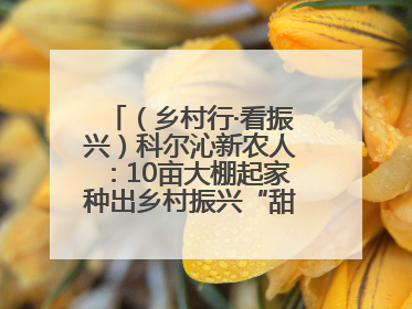 （乡村行·看振兴）科尔沁新农人：10亩大棚起家种出乡村振兴“甜蜜果”