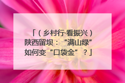 （乡村行·看振兴）陕西留坝：“满山绿”如何变“口袋金”？