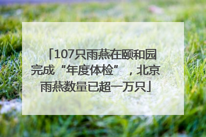 107只雨燕在颐和园完成“年度体检”，北京雨燕数量已超一万只