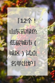 12个！山东省绿色低碳城市（城区）试点名单出炉