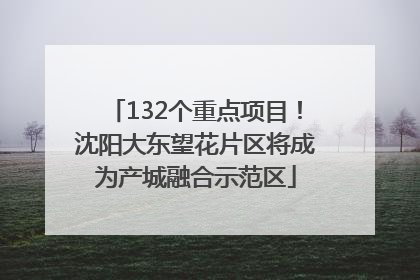 132个重点项目！沈阳大东望花片区将成为产城融合示范区