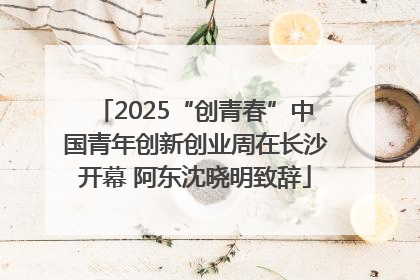 2025“创青春”中国青年创新创业周在长沙开幕 阿东沈晓明致辞