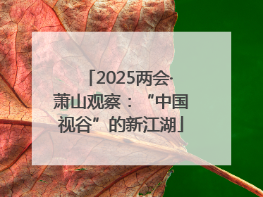2025两会·萧山观察：“中国视谷”的新江湖