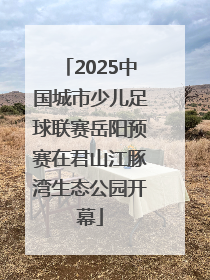 2025中国城市少儿足球联赛岳阳预赛在君山江豚湾生态公园开幕