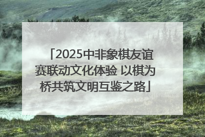 2025中非象棋友谊赛联动文化体验 以棋为桥共筑文明互鉴之路