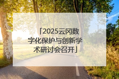 2025云冈数字化保护与创新学术研讨会召开