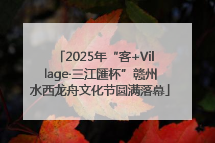 2025年“客+Village·三江匯杯”赣州水西龙舟文化节圆满落幕